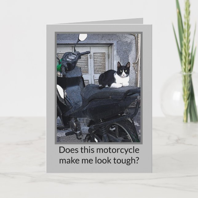 GATO EN MOTOCICLETA / HUMOR (Anverso)