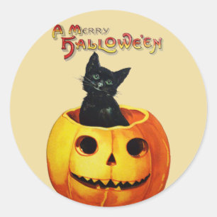 Gato en Pegatinas de Halloween de la Calabaza