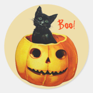 Gato en Pegatinas de Halloween de la Calabaza