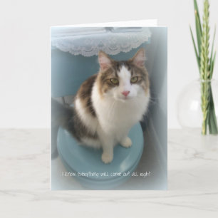 Gato en tarjeta de felicitación de la ayuda del
