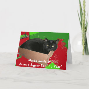 Gato en tarjeta de Navidad de la caja