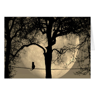 Gato en un alambre con luna llena dentro