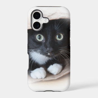 Gato en un bolso