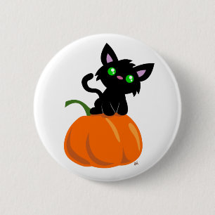 Gato en un botón de calabaza