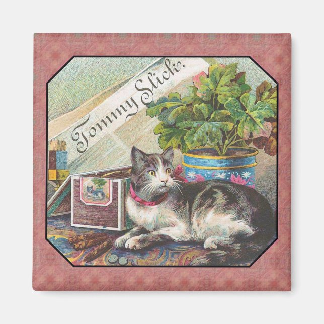 Gato en un imán de tabla (Frente)