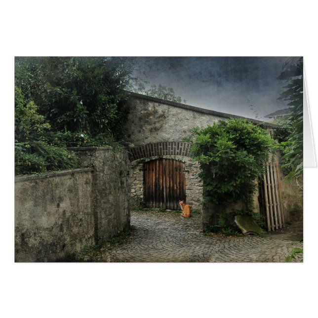 Gato en un patio (Anverso (Horizontal))