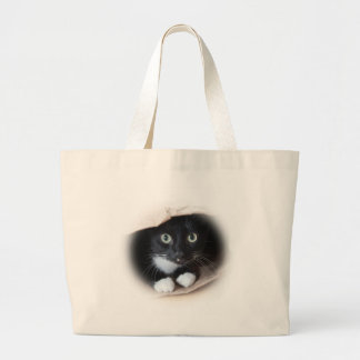 Gato en una bolsa