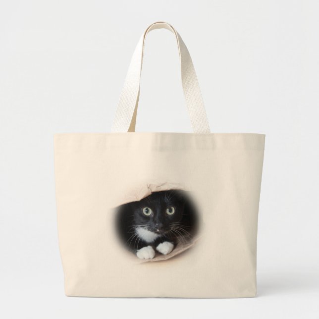 Gato en una bolsa (Frente)