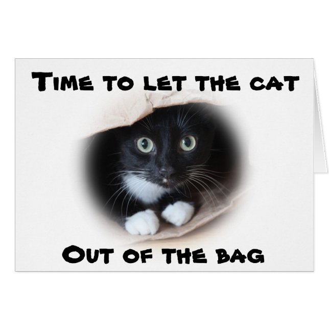 Gato en una bolsa (Anverso (Horizontal))