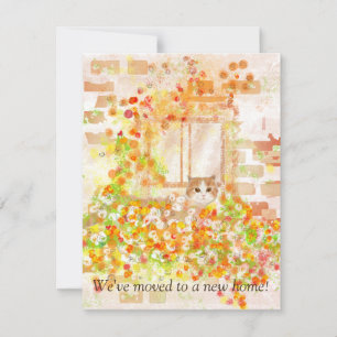 Gato en una caja de flores Nueva tarjeta de Invita