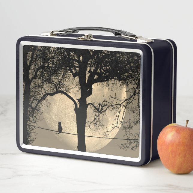 Gato en una luna llena de cable (In situ)