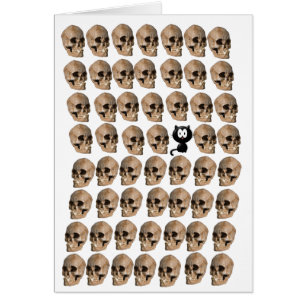 Gato entre los cráneos