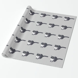 Gato esmoquin en papel de regalo gris con puntilli
