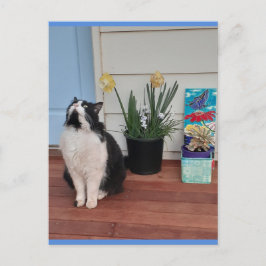 Gato esmoquin lindo con hermosas flores tarjeta po