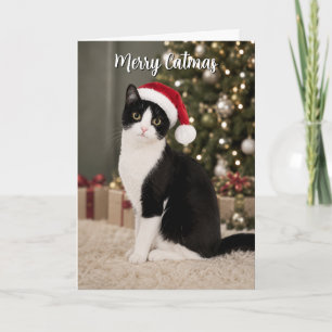 Gato esmoquin sombrero de Santa Navidad divertido