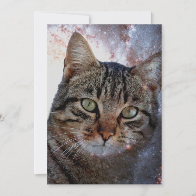 Gato espacial (Anverso)