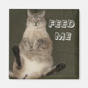 Gato "FEED ME", imán cuadrado