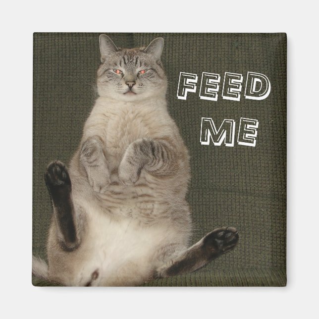 Gato "FEED ME", imán cuadrado (Frente)