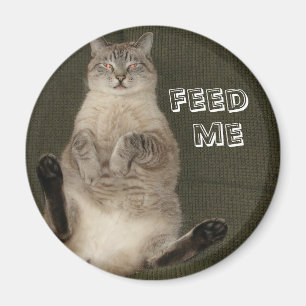 Gato "FEED ME", imán redondo
