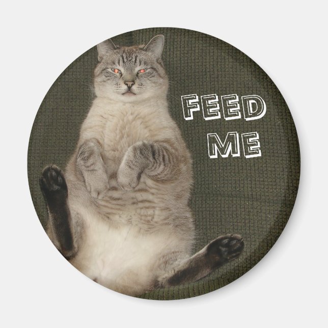 Gato "FEED ME", imán redondo (Frente)