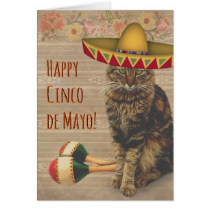 Gato feliz de Cinco de Mayo con el gorra mexicano