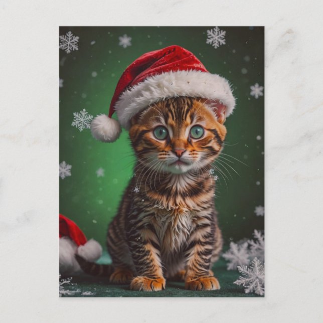 Gato Feliz Navidad (Anverso)