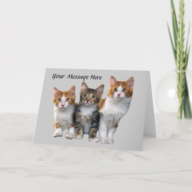 Gato fuera de la tarjeta de saludo de la caja (Anverso)