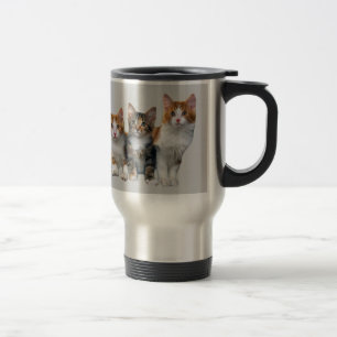 Gato fuera de la taza de la caja