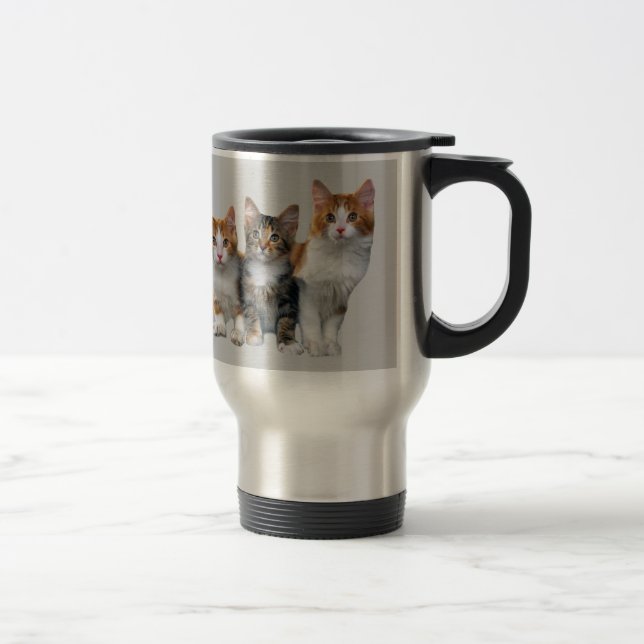Gato fuera de la taza de la caja (Derecha)