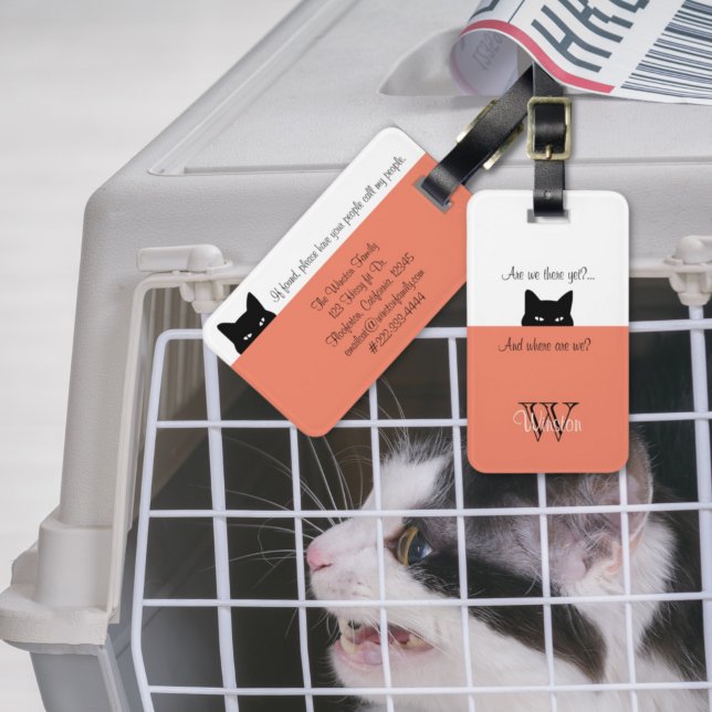 Gato furtivo donde estamos Salmon Mascota etiqueta (Subido por el creador)