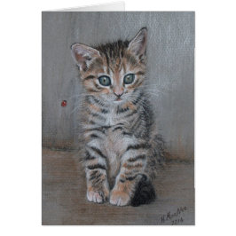 Gato, gatito de tabby, sólo posa, arte bonito.