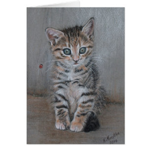 Gato, gatito de tabby, sólo posa, arte bonito.