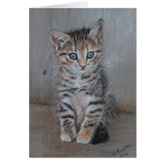 Gato, gatito de tabby, sólo posa, arte bonito.