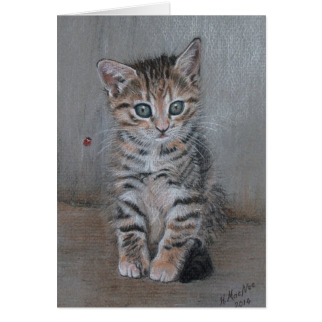 Gato, gatito de tabby, sólo posa, arte bonito. (Frente)