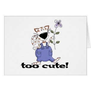 Gato gatito demasiado lindo