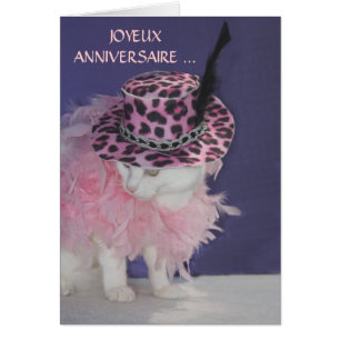 Gato/gatito franceses adaptables