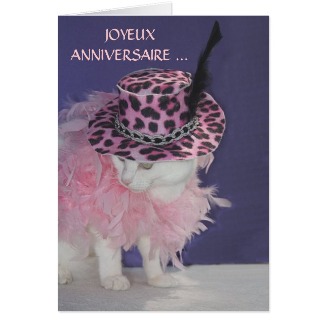 Gato/gatito franceses adaptables (Frente)