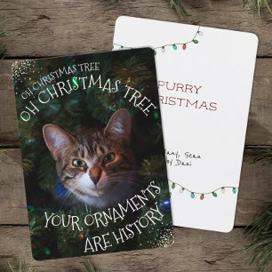 Gato gatito gracioso malicioso Oh Árbol de Navidad