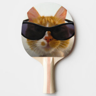 Gato Genial Con Gafas De Sol Pala De Ping Pong
