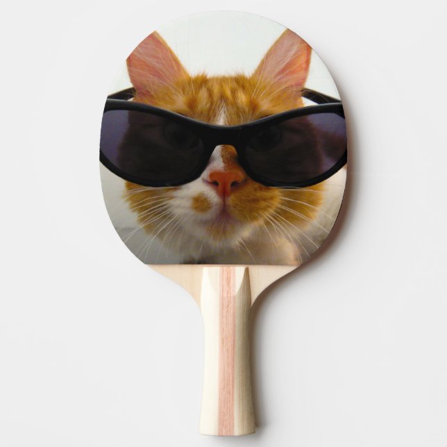 Gato Genial Con Gafas De Sol Pala De Ping Pong (Anverso)