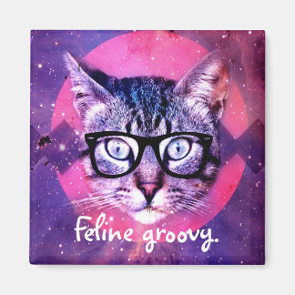 Gato genial felino imán
