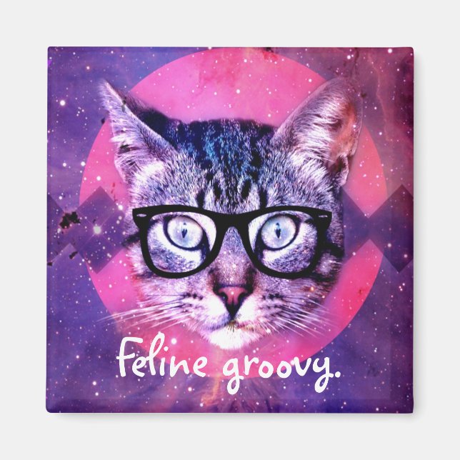 Gato genial felino imán (Frente)