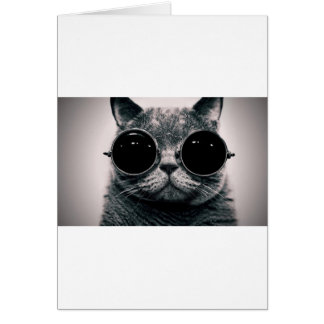 gato genial kool kat con gafas de sol