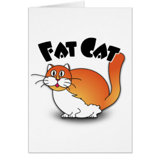 Gato gordo