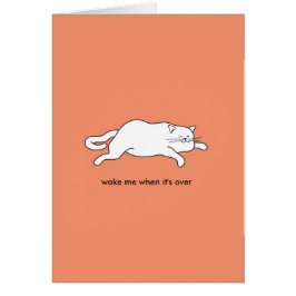 gato gordo lindo en una tarjeta