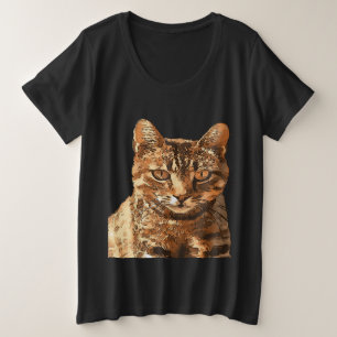 Gato Gordo Tabby Con Miradas Mirantes Espectáculo