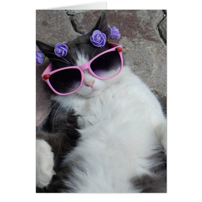 Gato gracioso con gafas rosas (Frente)