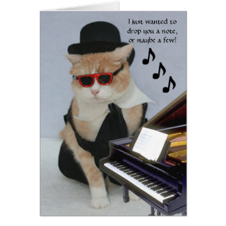Gato gracioso de personalizable