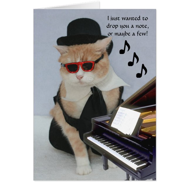 Gato gracioso de personalizable (Frente)