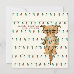 Gato gracioso enredado Kitty en Navidad enciende m